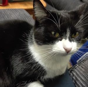 Meet your Posher, Glen